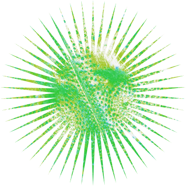 stargreenfon